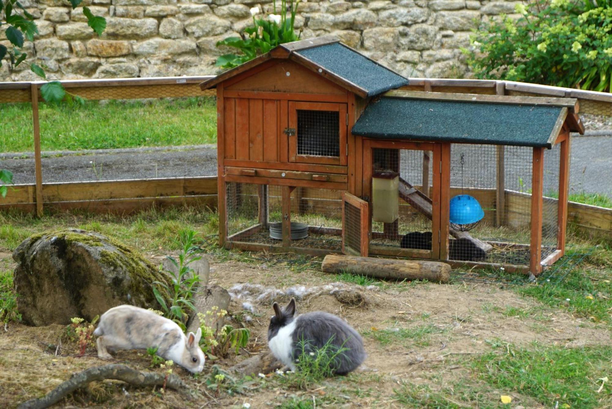 Auberge Ti'Gousket Guingamp Zewnętrze zdjęcie